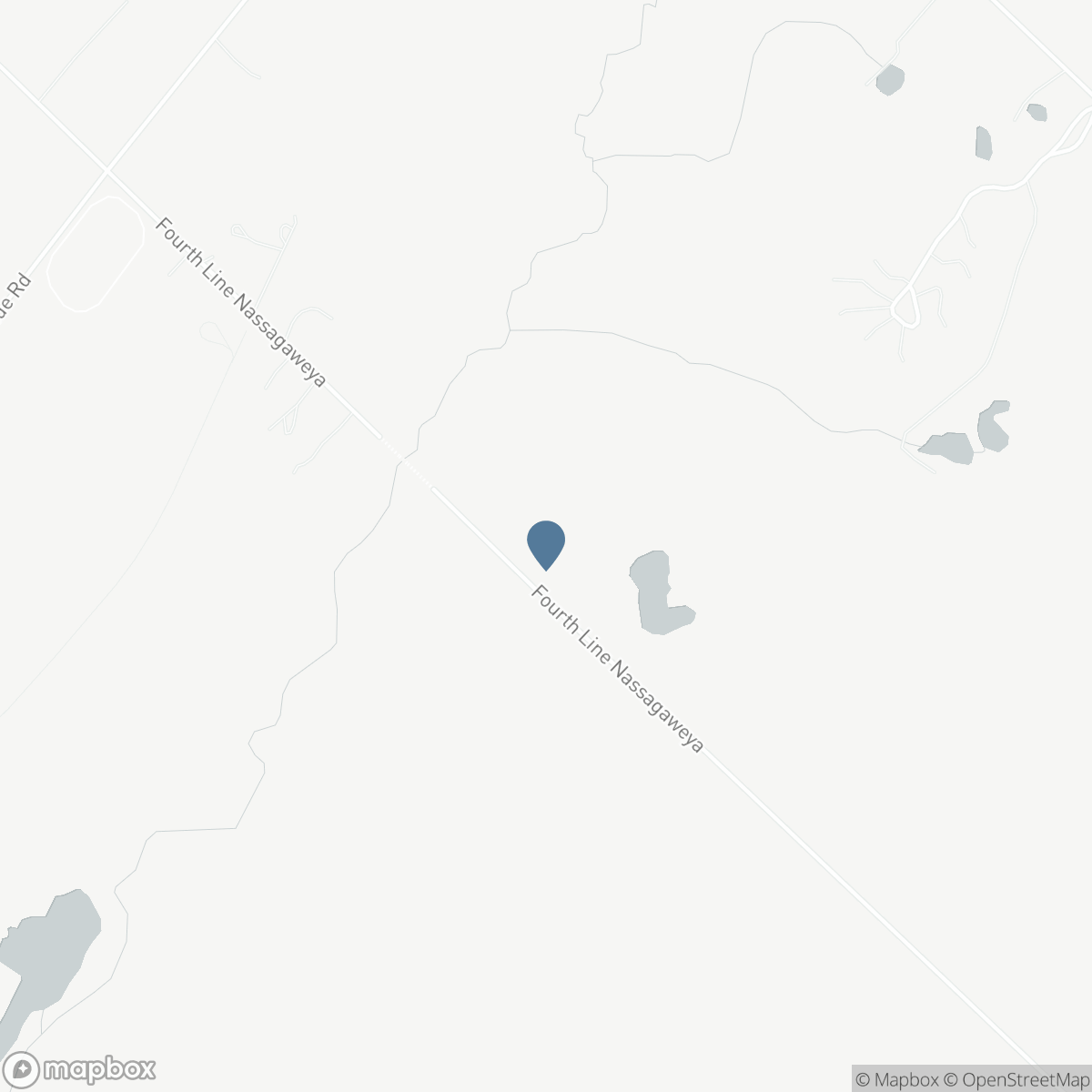 13489 FOURTH LINE NASSAGAWEYA, Milton, Ontario N0B 2K0